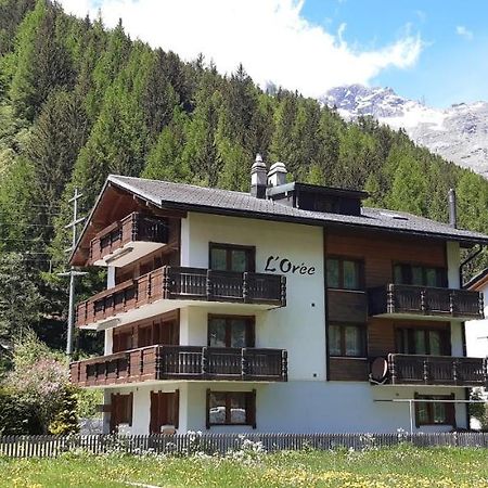 Free Cable Car & Bus In The Summer Haus L'Oree 萨斯格伦德 外观 照片