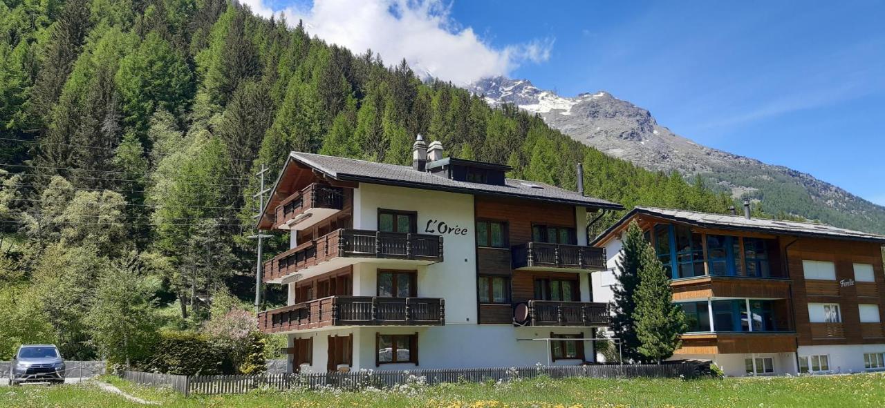 Free Cable Car & Bus In The Summer Haus L'Oree 萨斯格伦德 外观 照片