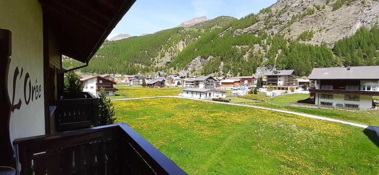 Free Cable Car & Bus In The Summer Haus L'Oree 萨斯格伦德 外观 照片