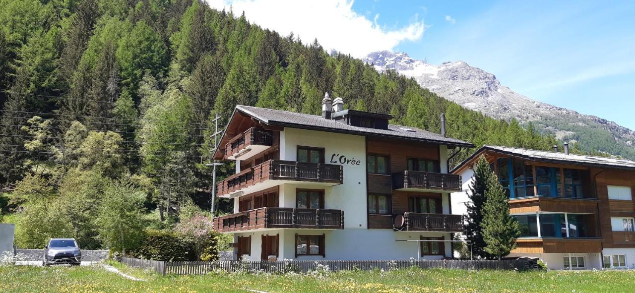 Free Cable Car & Bus In The Summer Haus L'Oree 萨斯格伦德 外观 照片